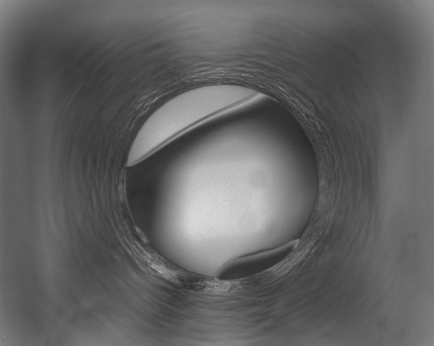 X0000054470096200507291059