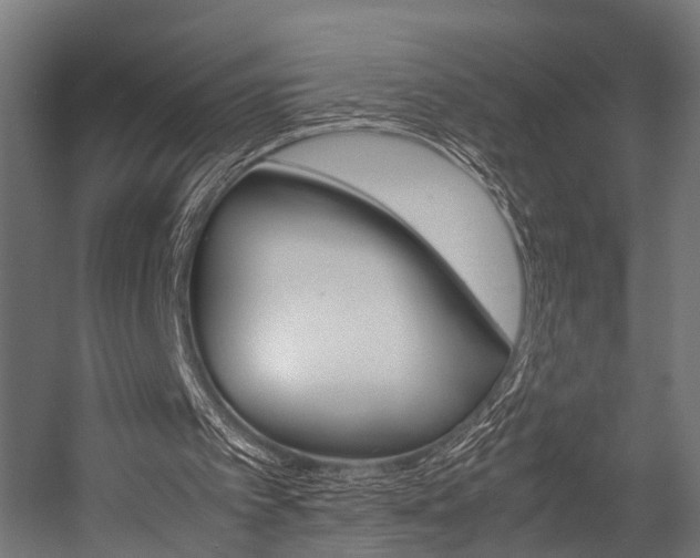 X0000054470097200507291058