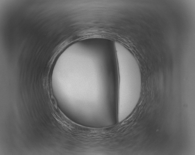 X0000054470099200507291058