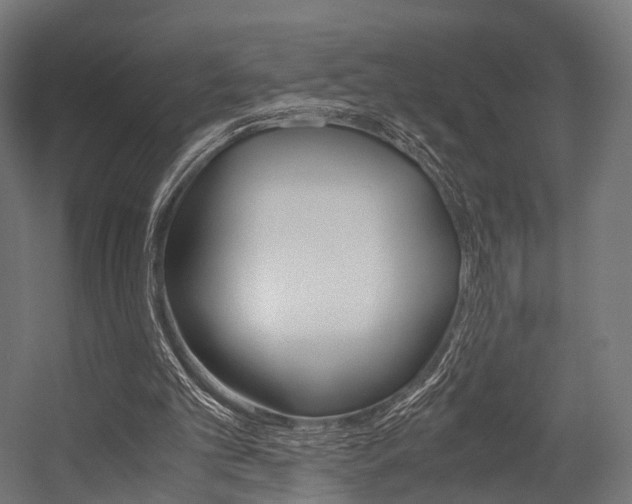 X0000054470101200507291058