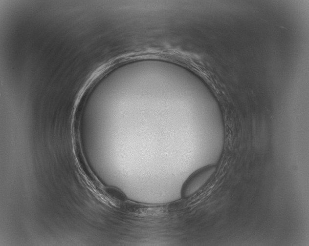 X0000054470102200507291058