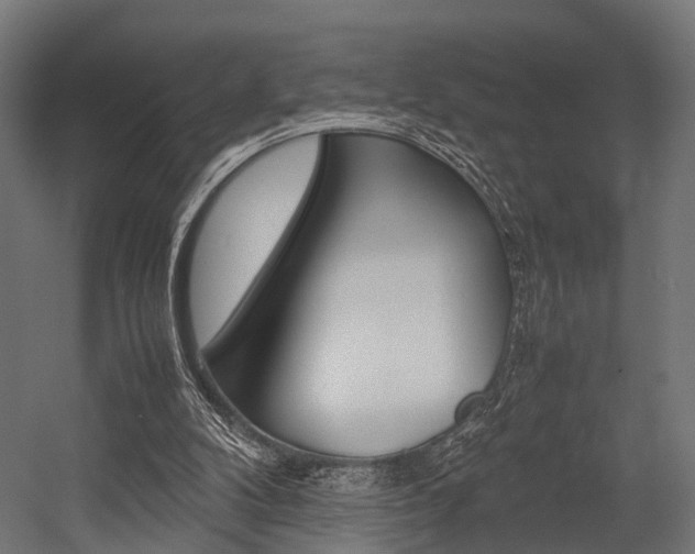 X0000054470104200507291058