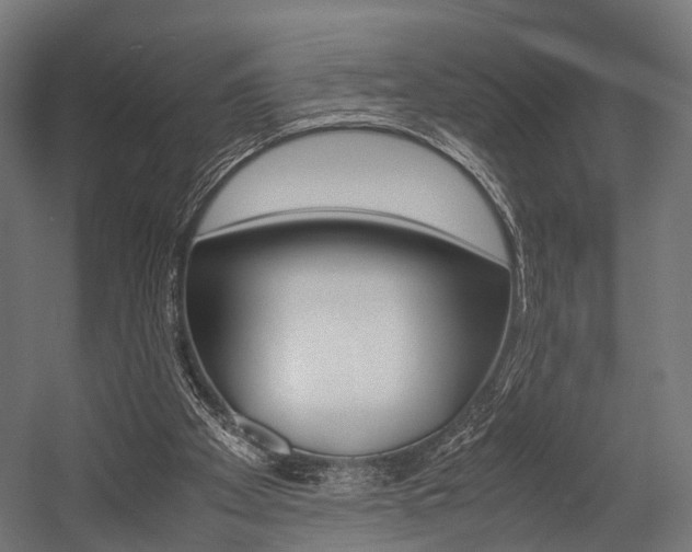 X0000054470105200507291058