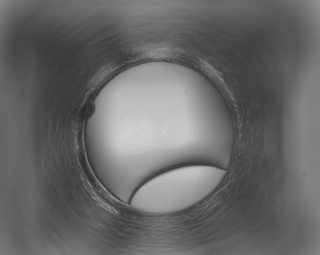 X0000054470106200507291058