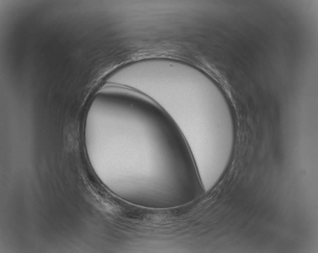 X0000054470107200507291058