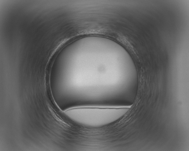 X0000054470108200507291058