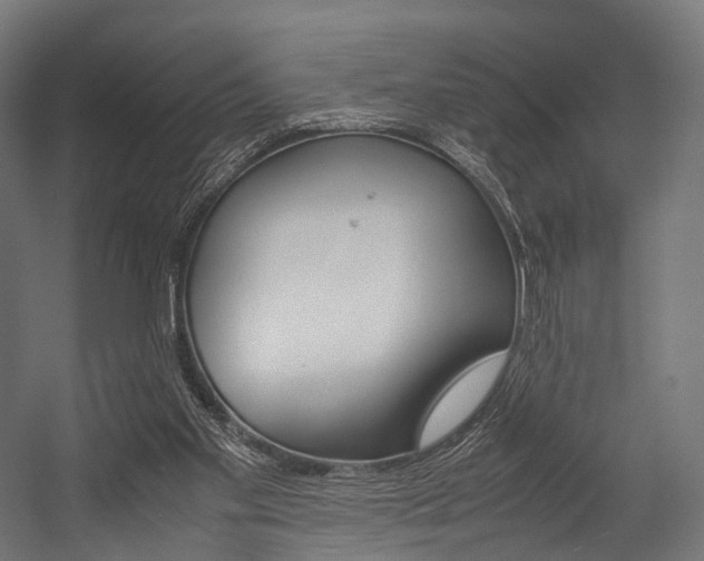 X0000054470109200507291058