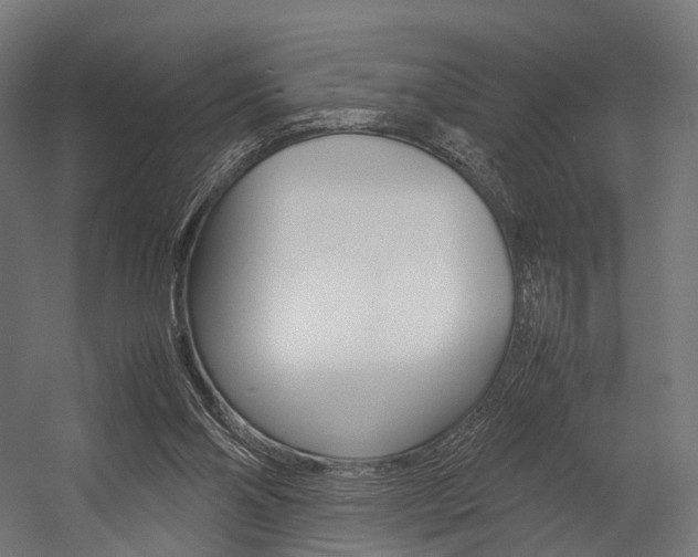 X0000054470110200507291058