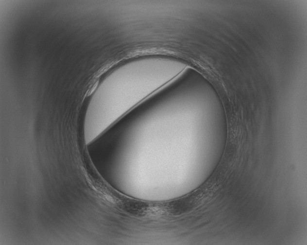 X0000054470111200507291058