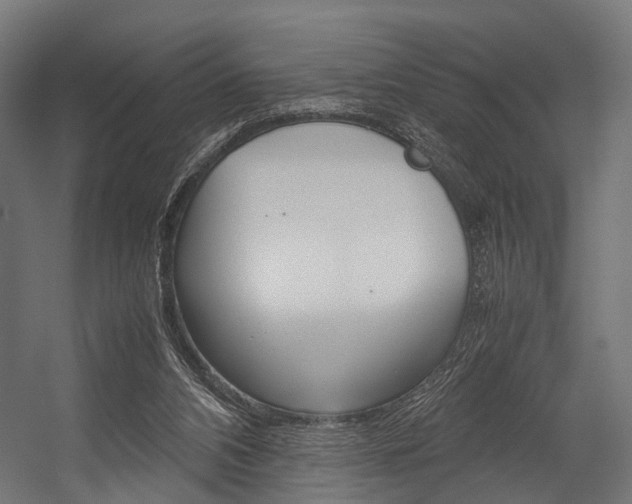 X0000054470112200507291058
