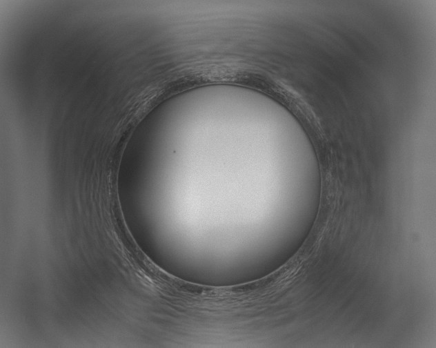 X0000054470113200507291058