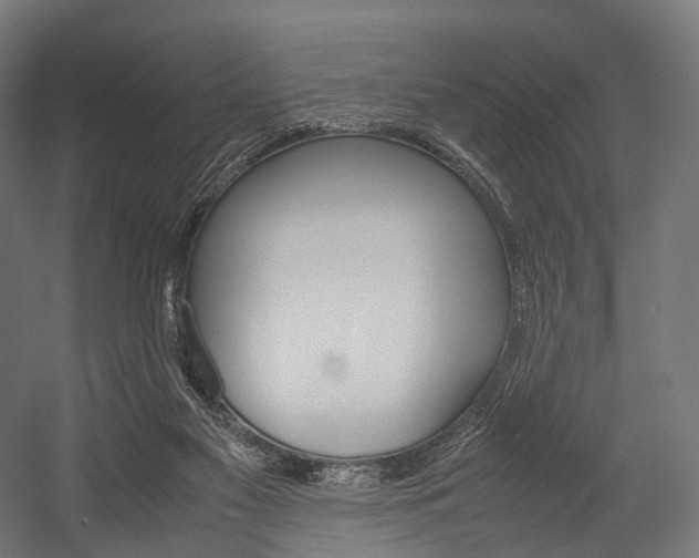 X0000054470117200507291058