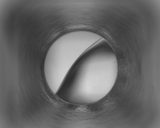 X0000054470119200507291057