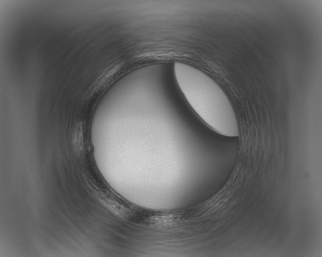 X0000054470120200507291057