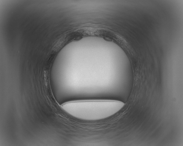 X0000054470121200507291057
