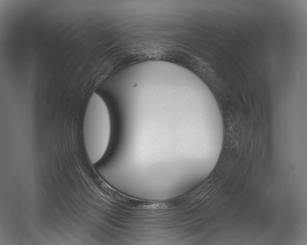 X0000054470122200507291057