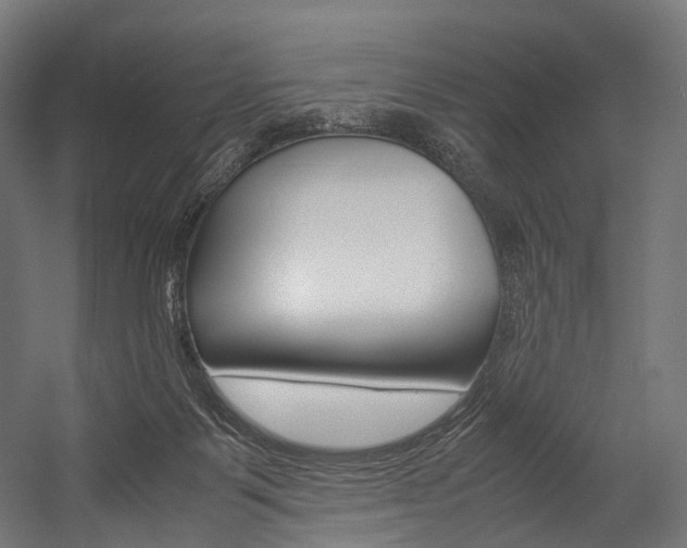 X0000054470123200507291057