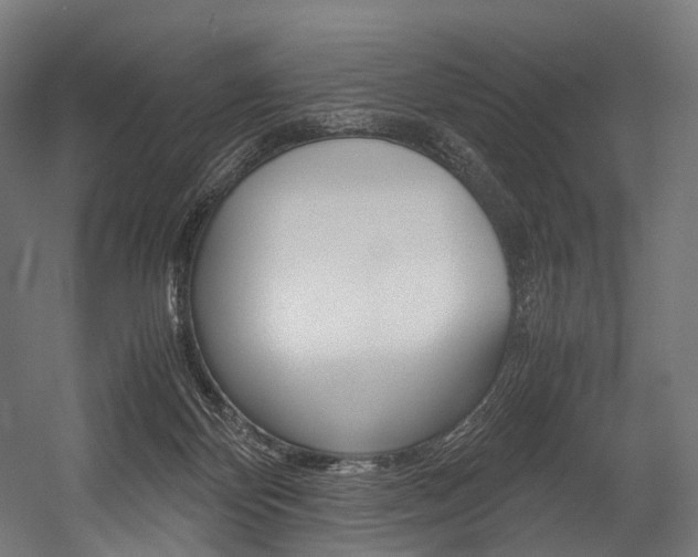 X0000054470124200507291057