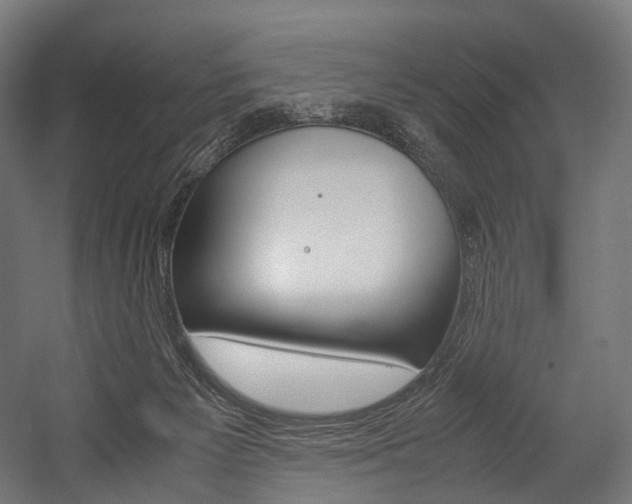 X0000054470125200507291057