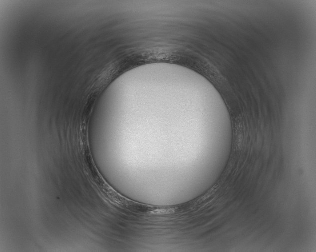 X0000054470126200507291057