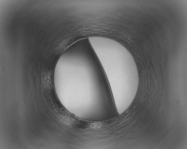 X0000054470127200507291057