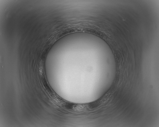 X0000054470129200507291057