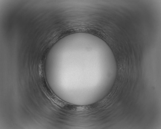 X0000054470130200507291057