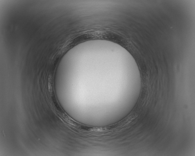 X0000054470131200507291057
