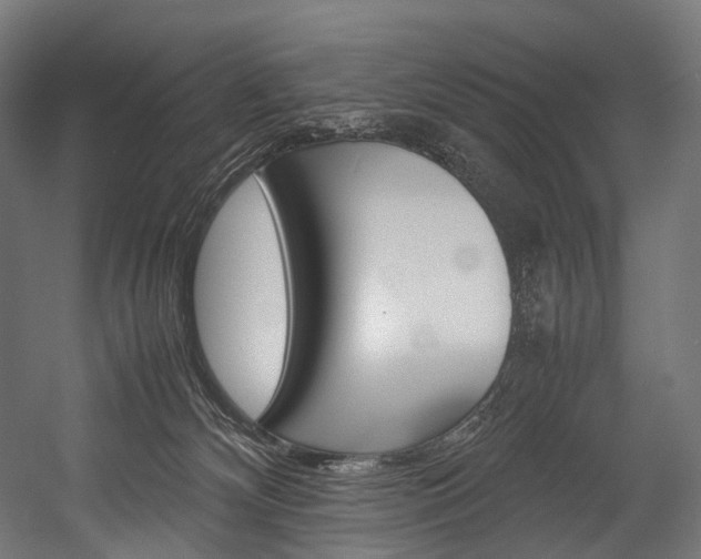 X0000054470132200507291057