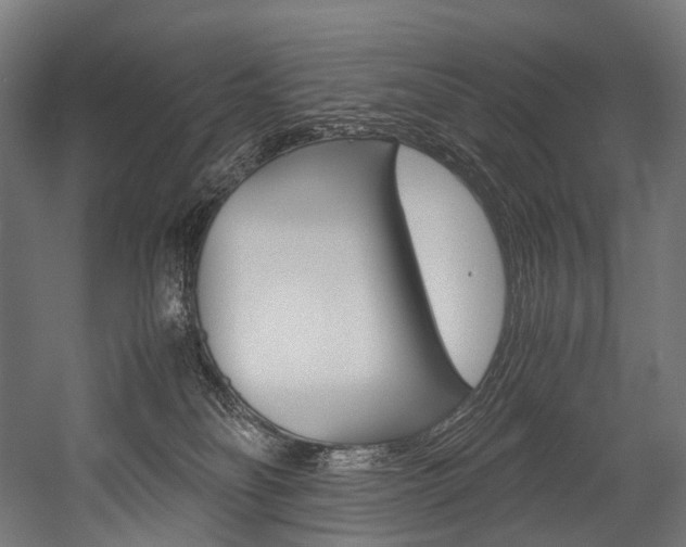 X0000054470134200507291057
