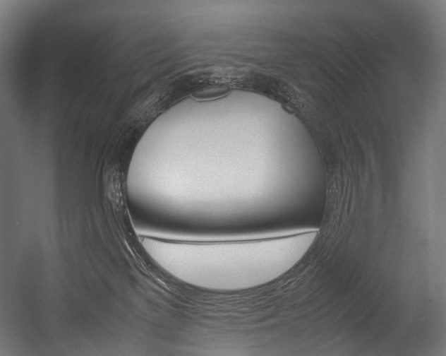 X0000054470137200507291057