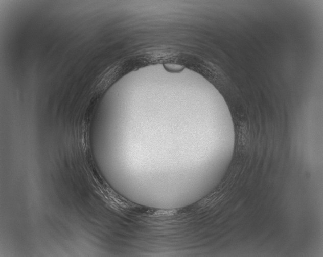X0000054470138200507291057