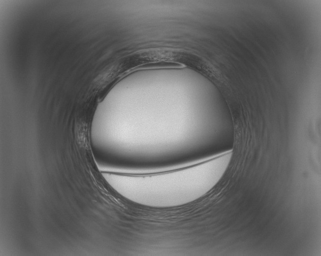 X0000054470141200507291057