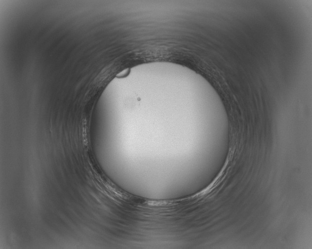 X0000054470144200507291057