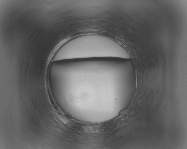 X0000054470147200507291056