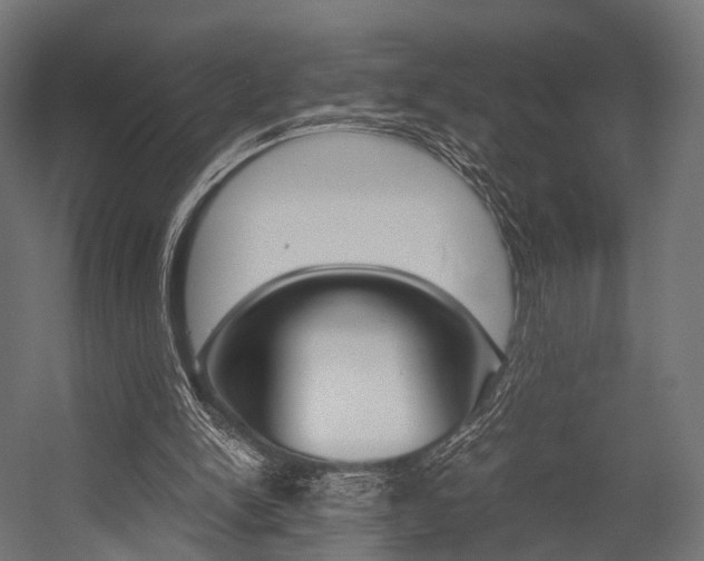 X0000054470150200507291056