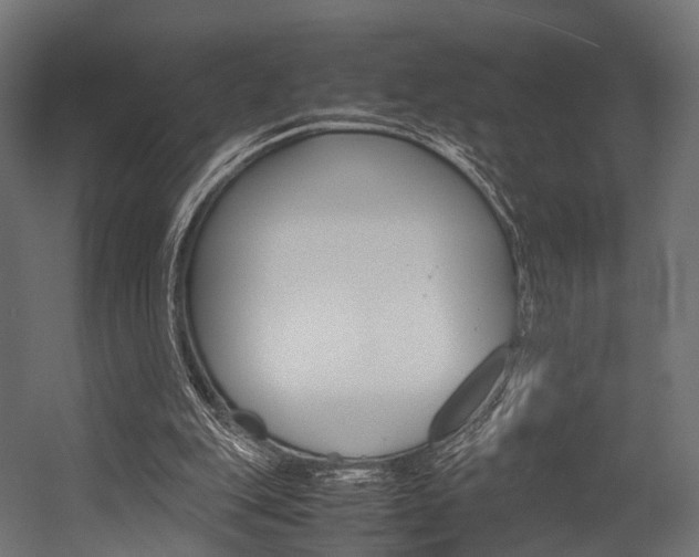 X0000054470151200507291056