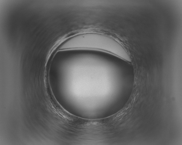 X0000054470152200507291056