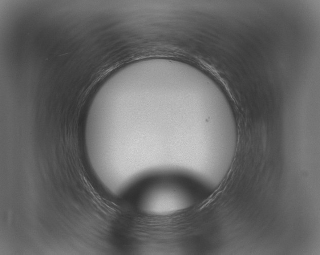 X0000054470154200507291056