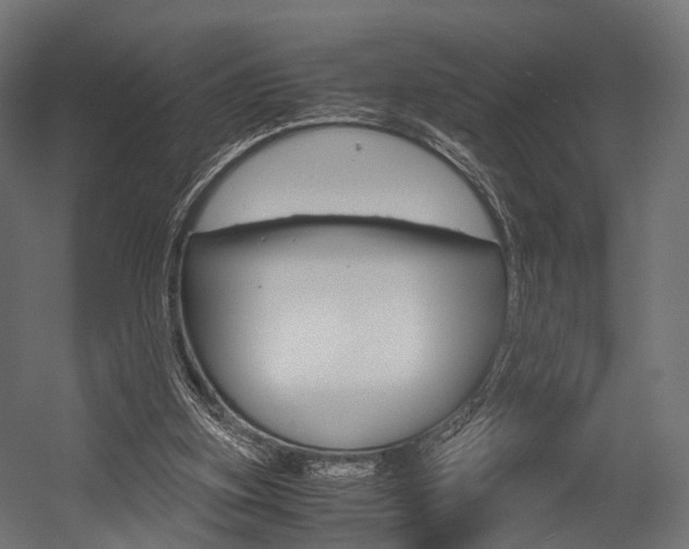 X0000054470155200507291056