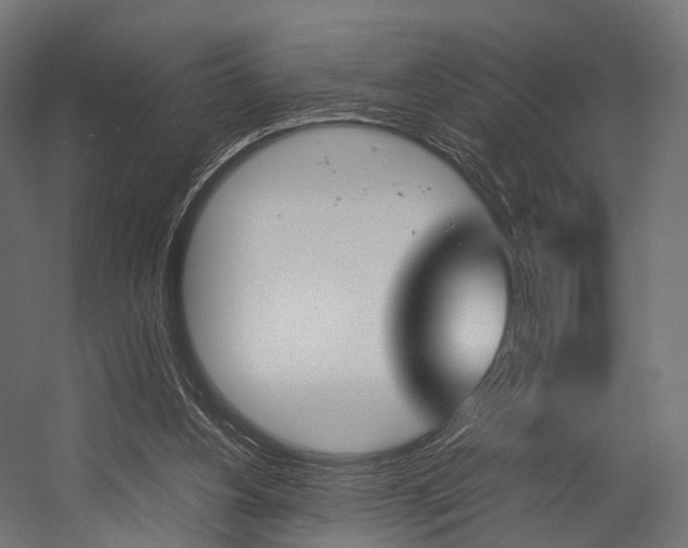X0000054470156200507291056