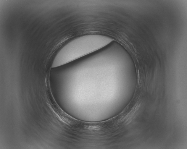 X0000054470157200507291056