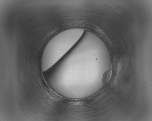 X0000054470161200507291057