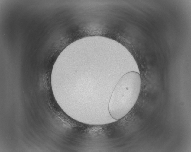 X0000054470162200507291057