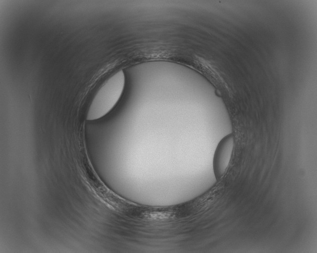 X0000054470163200507291057