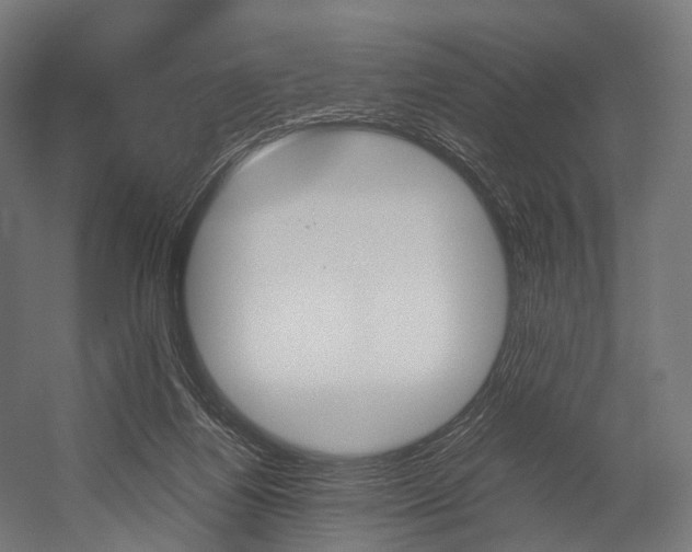 X0000054470164200507291057
