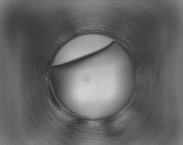 X0000054470166200507291057