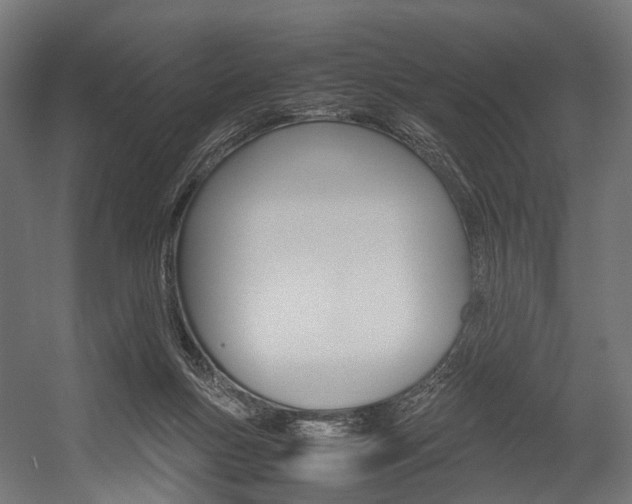 X0000054470167200507291057