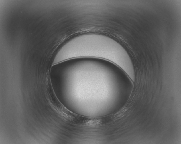 X0000054470168200507291057