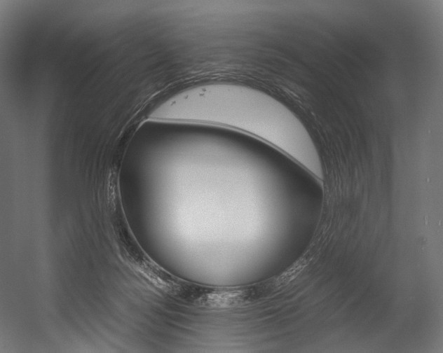 X0000054470172200507291057